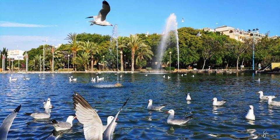 Torrevieja Experience Atico 1ª Linea Διαμέρισμα Εξωτερικό φωτογραφία